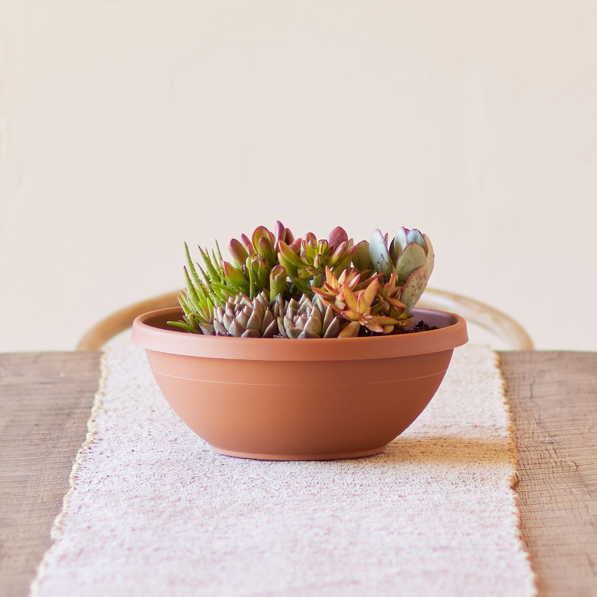 Terra Planter Bowl