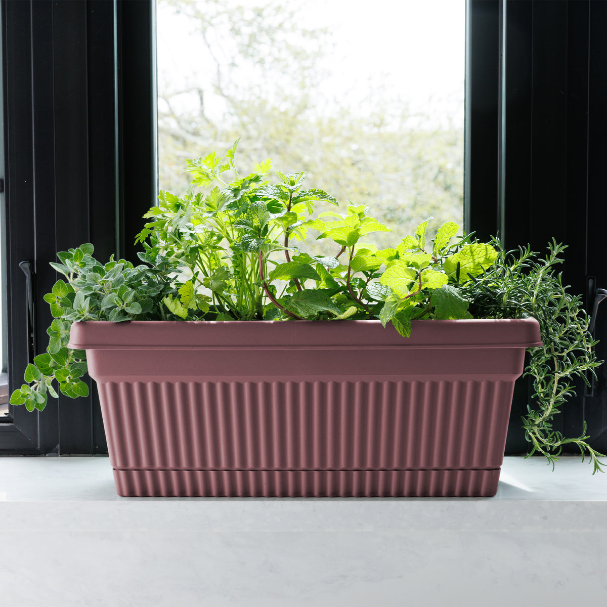 Amelia Window Box Planter