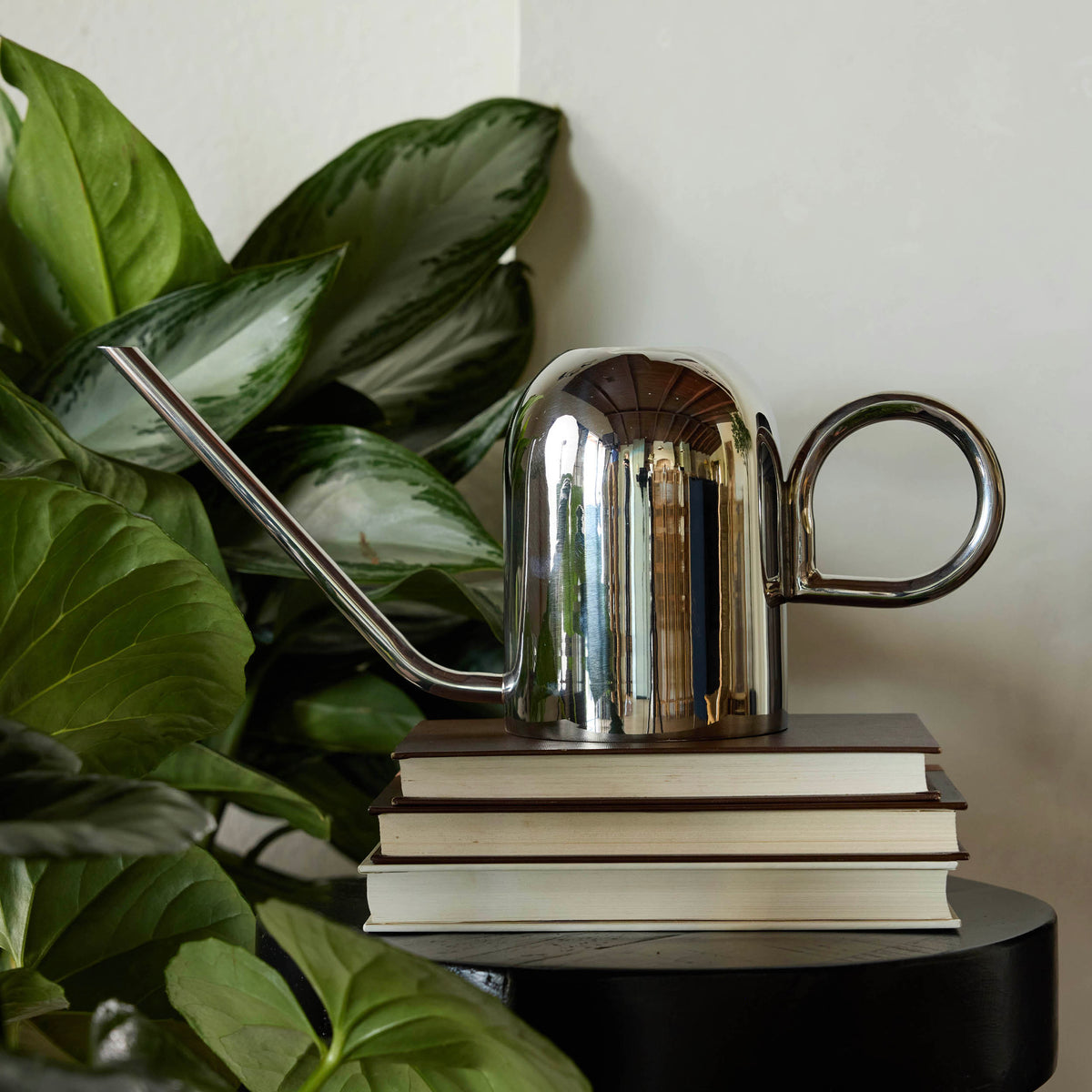 Crane Watering Can