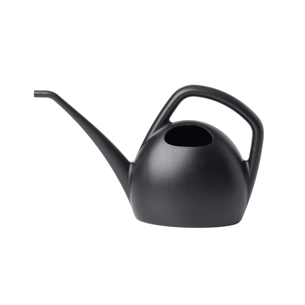 Canary Watering Can