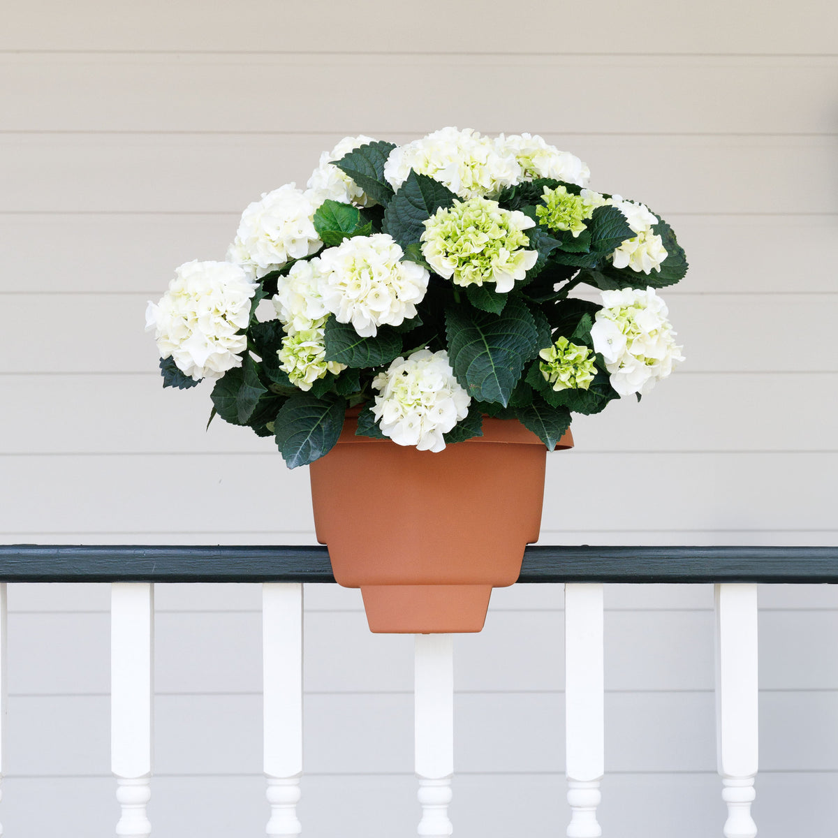 Classic Deck Rail Planter