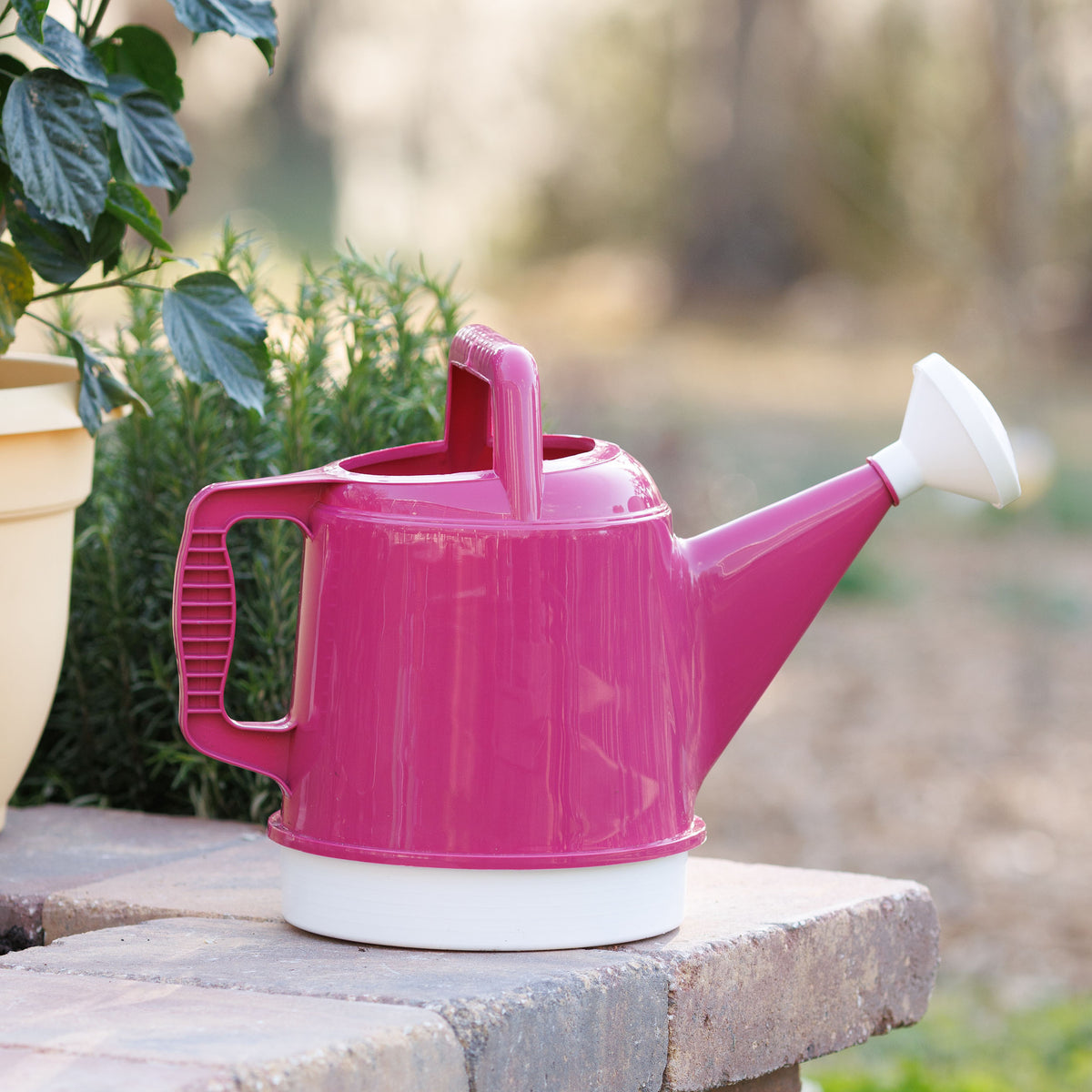 Deluxe 2-Gallon Watering Can