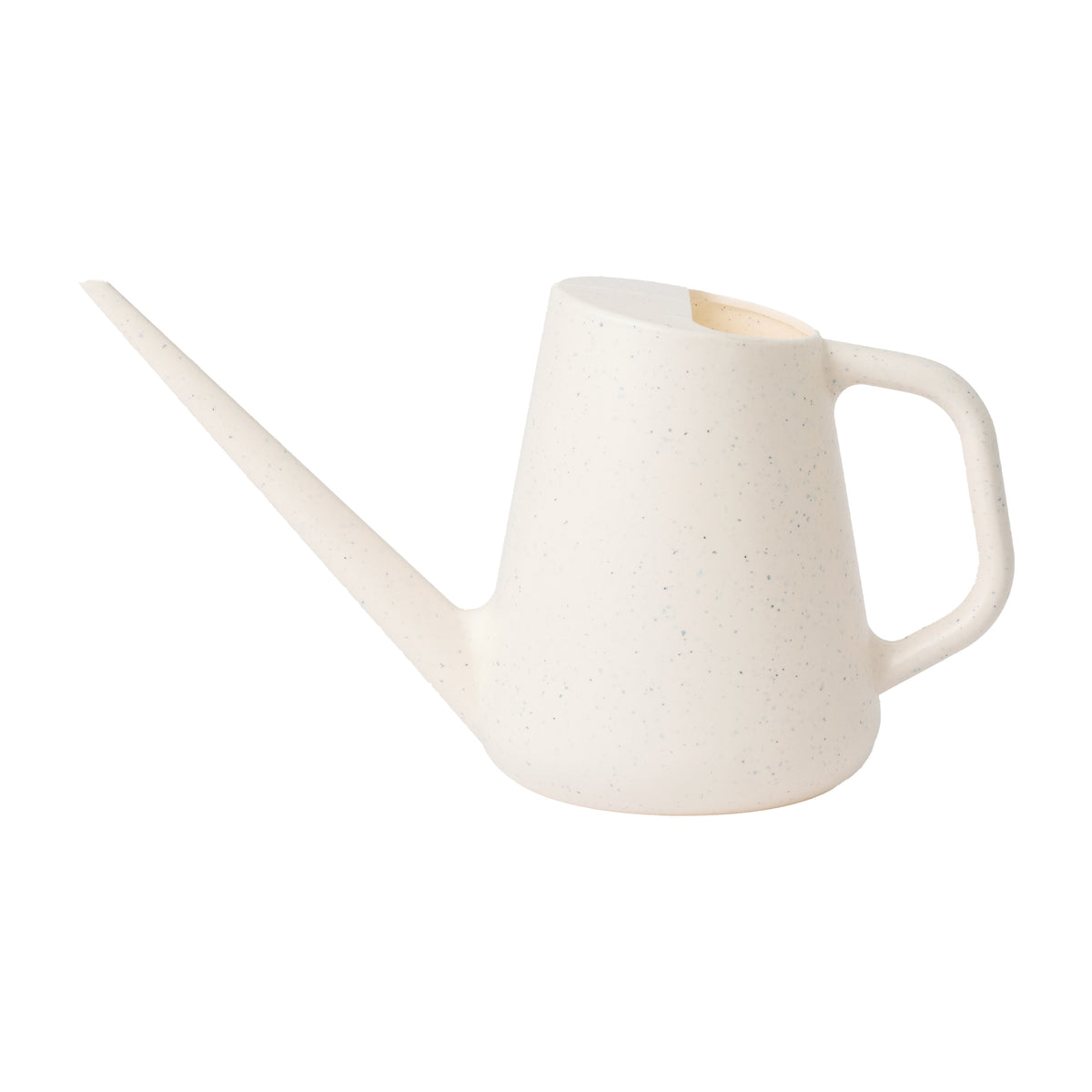 Fern Watering Can