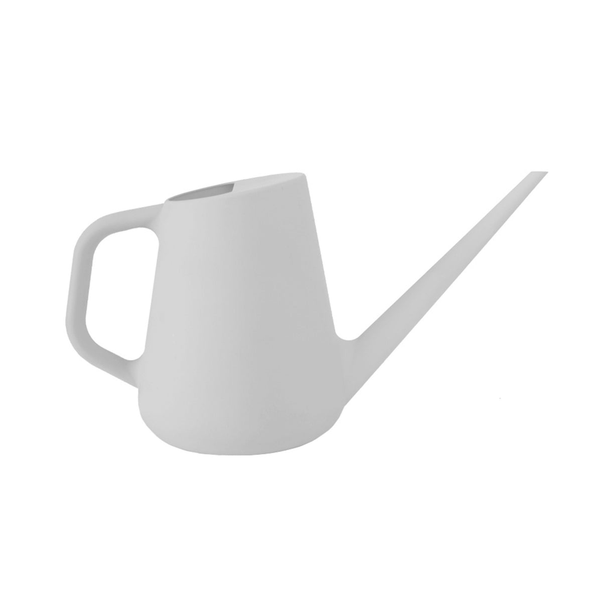 Fern Watering Can