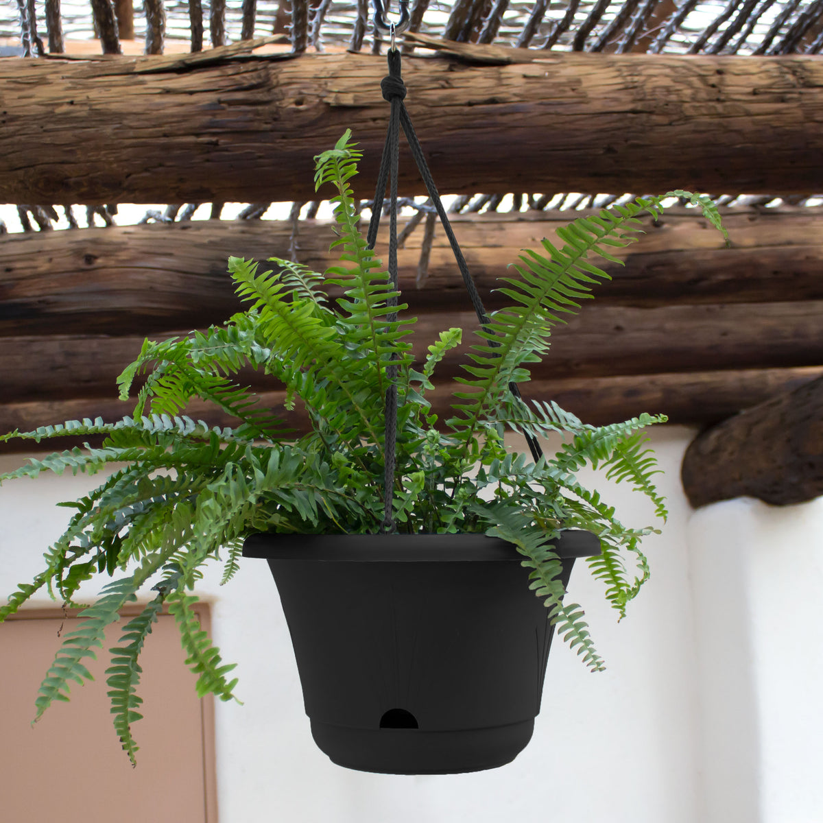 Lucca Hanging Basket Planter