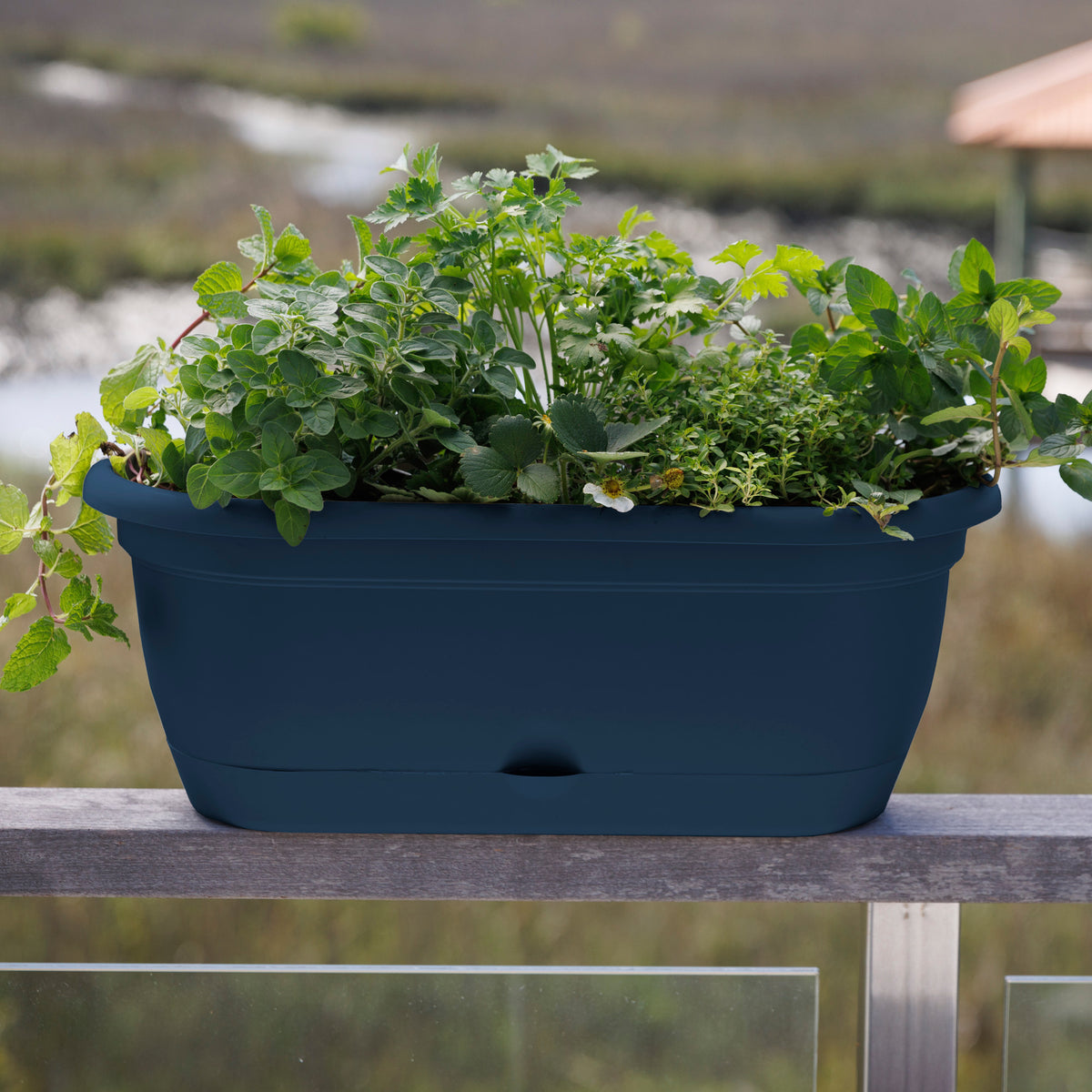 Lucca Window Box Planter