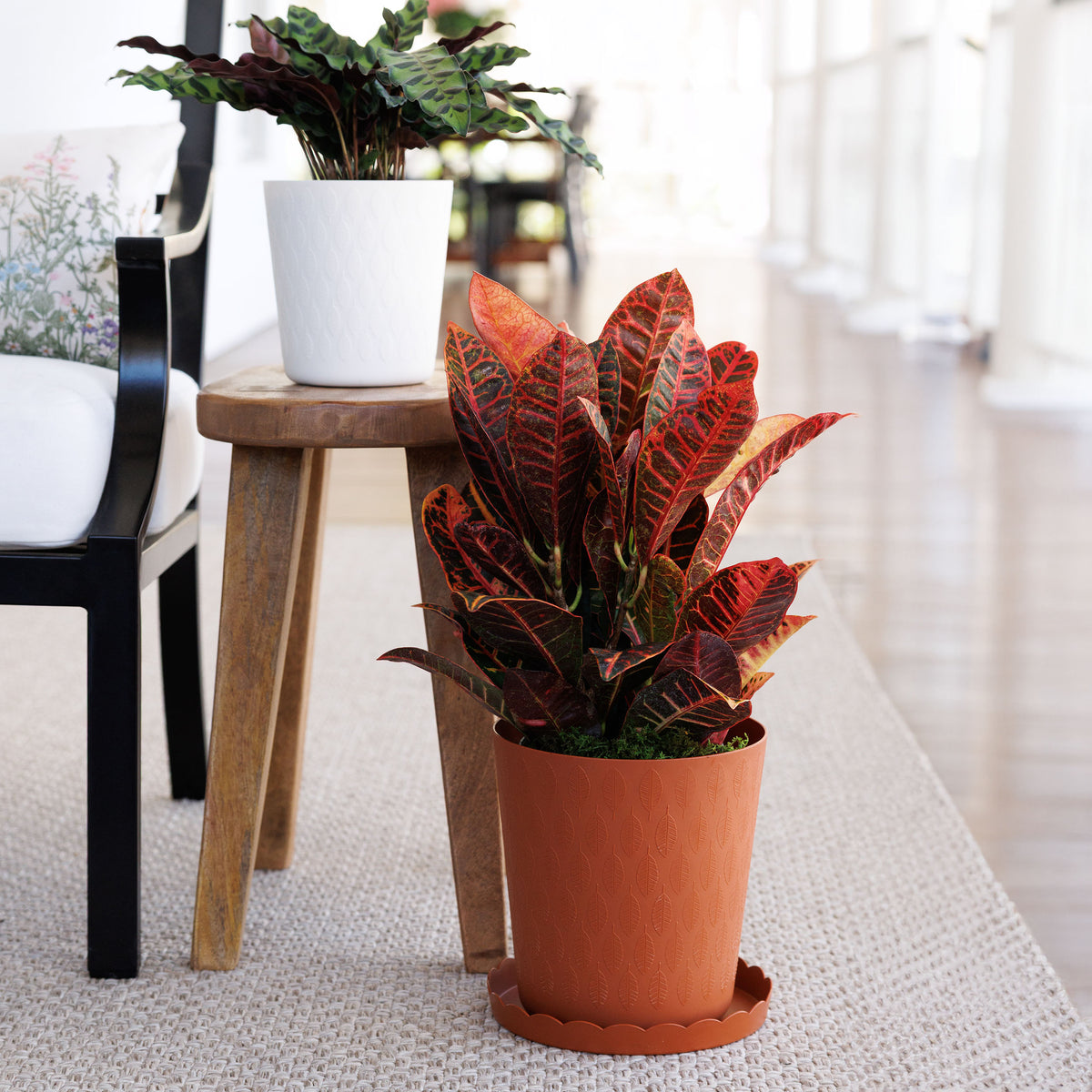 Leaf Planter