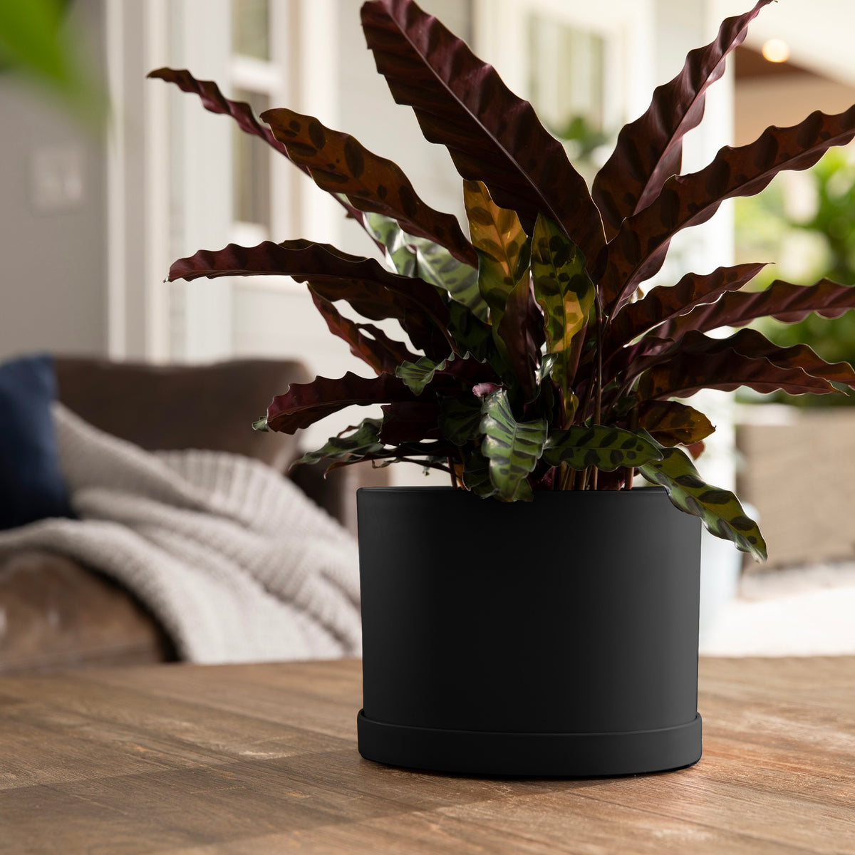 Mathers Planter