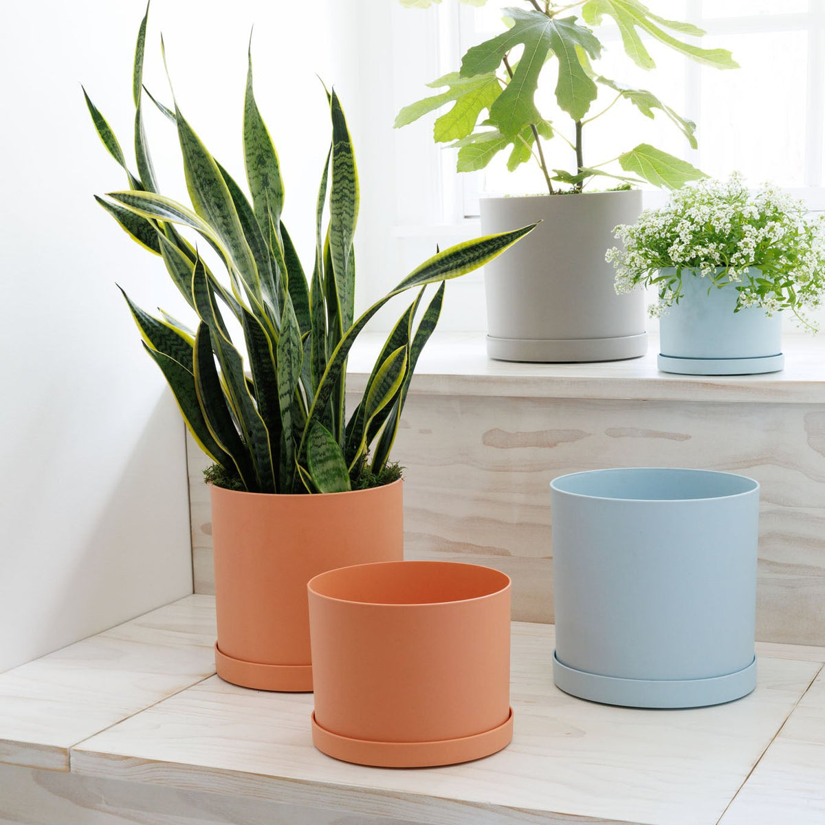 Mathers Planter