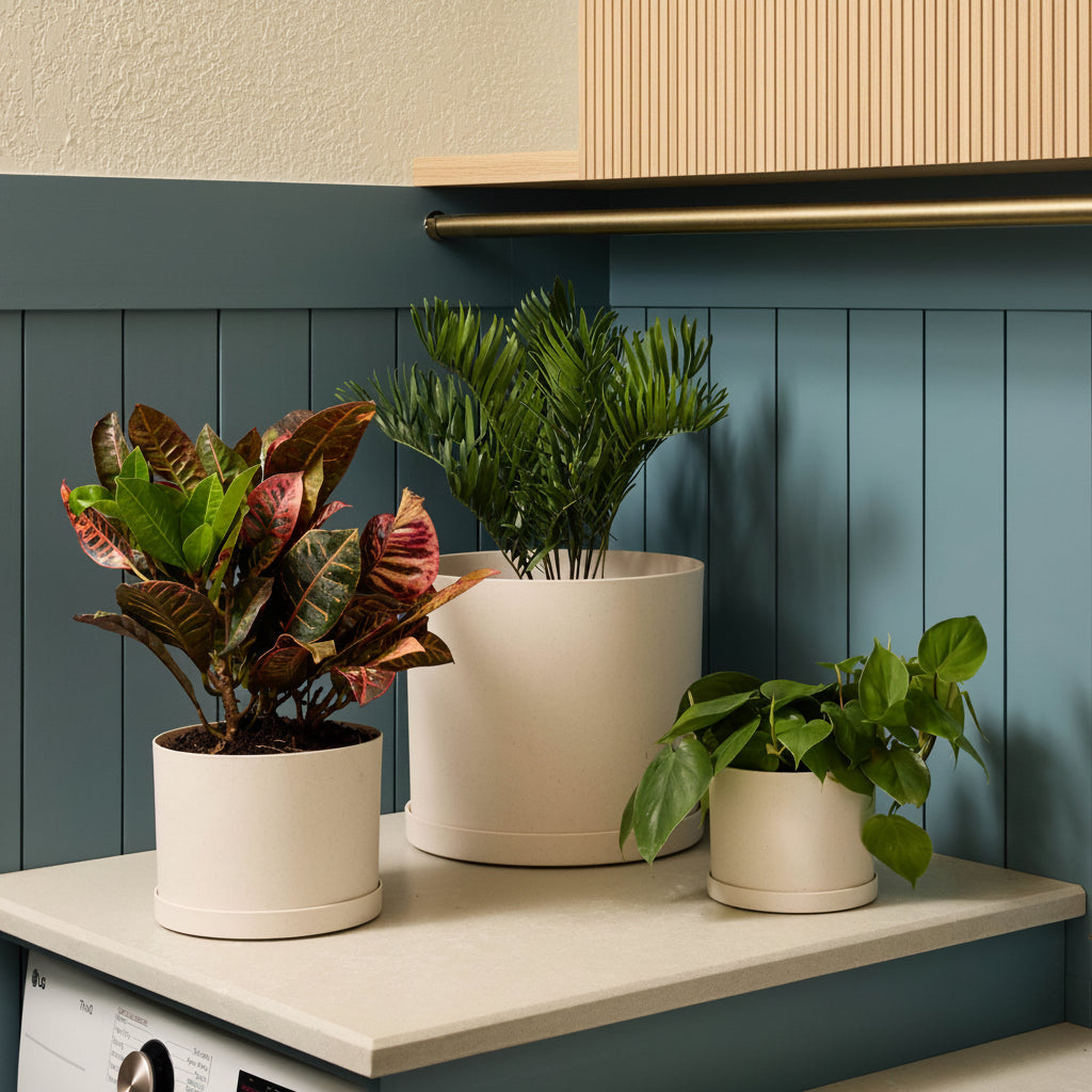 Mathers Planter