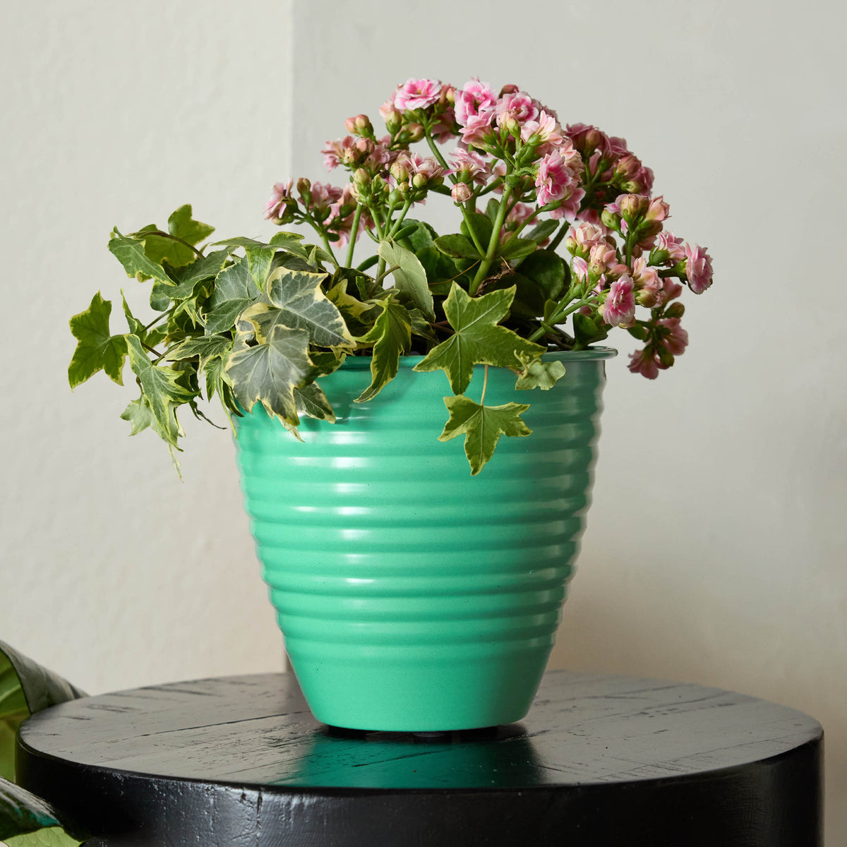 Nova Planter