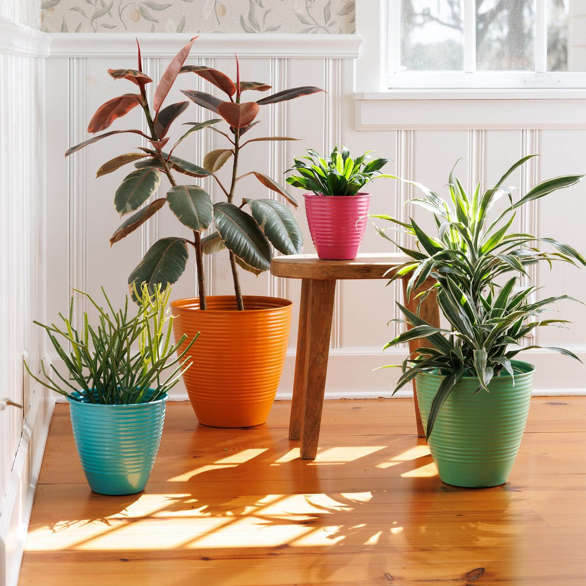 Nova Planter