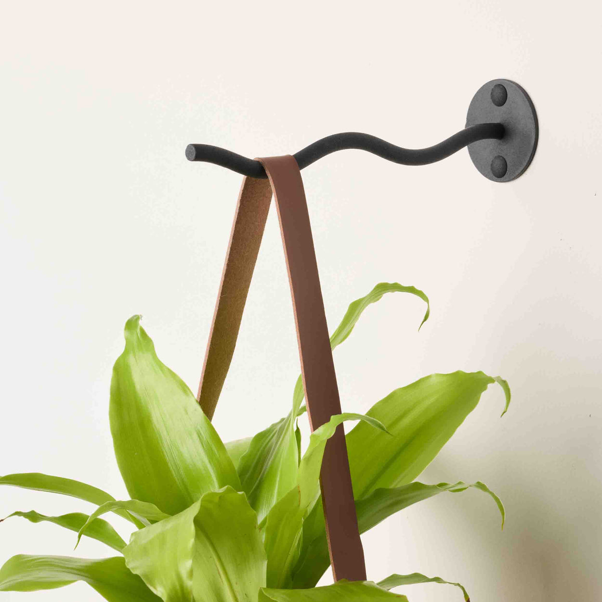Ripple Indoor Wall Hook