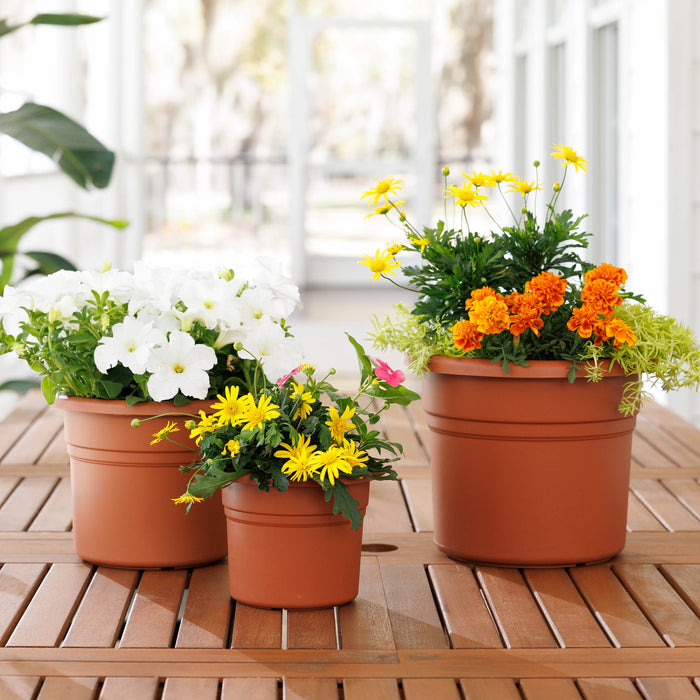 Posy Planter