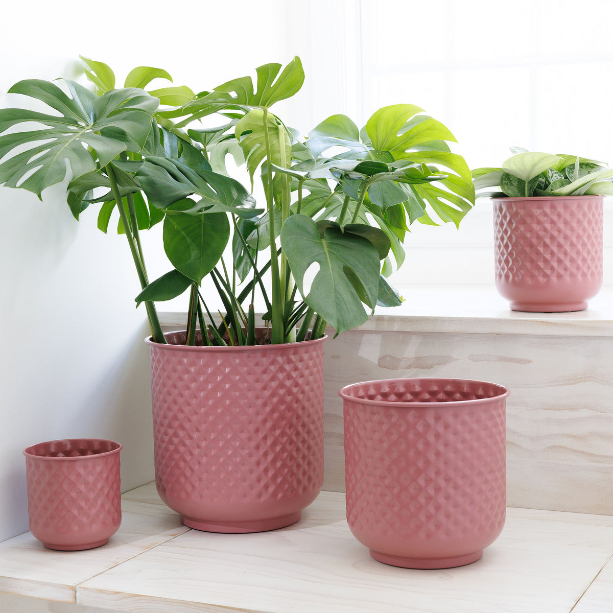 Prism Metal Planter Collection