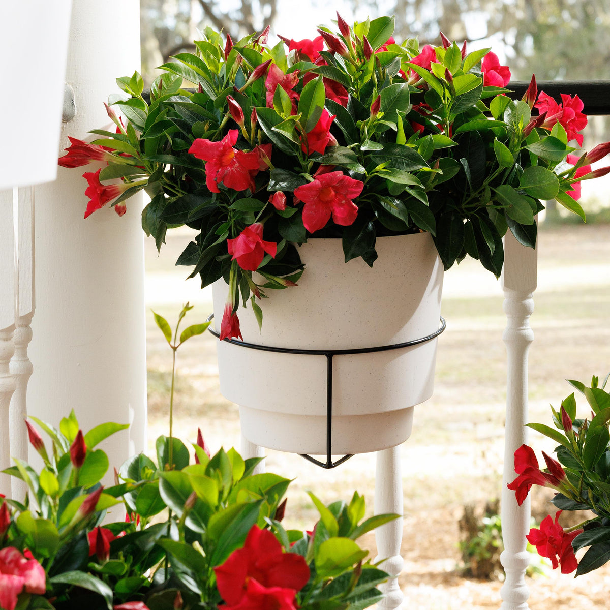 RailScapes Floating Garden Railing Planter Holder