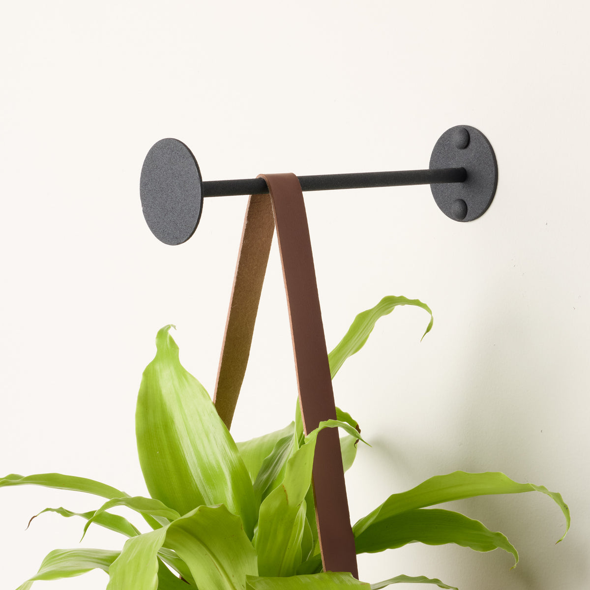 Revel Indoor Wall Hook