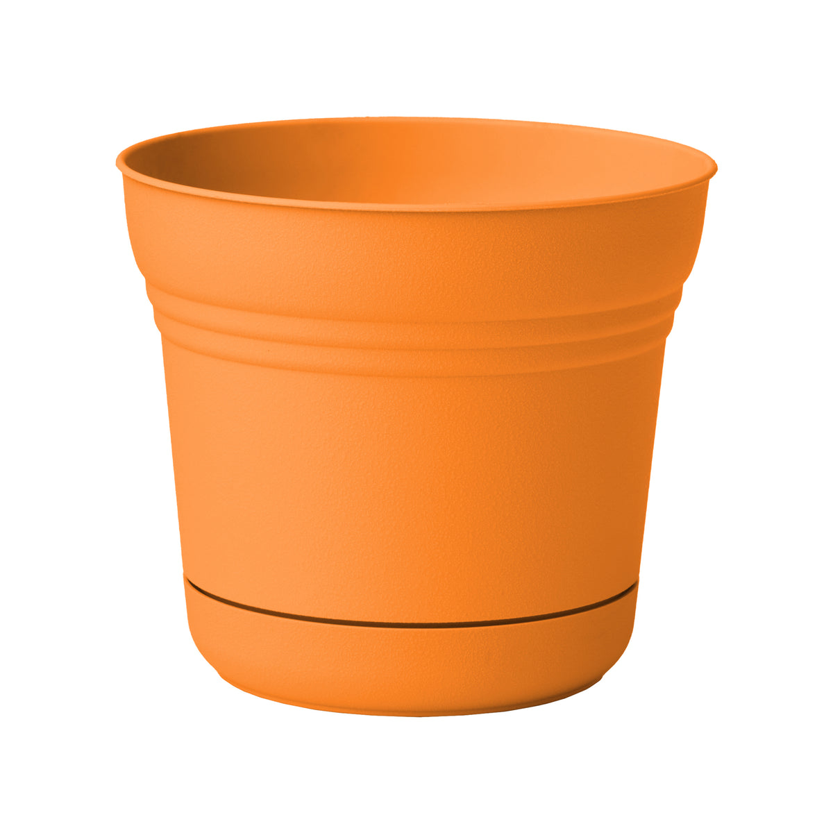 Saturn Planter