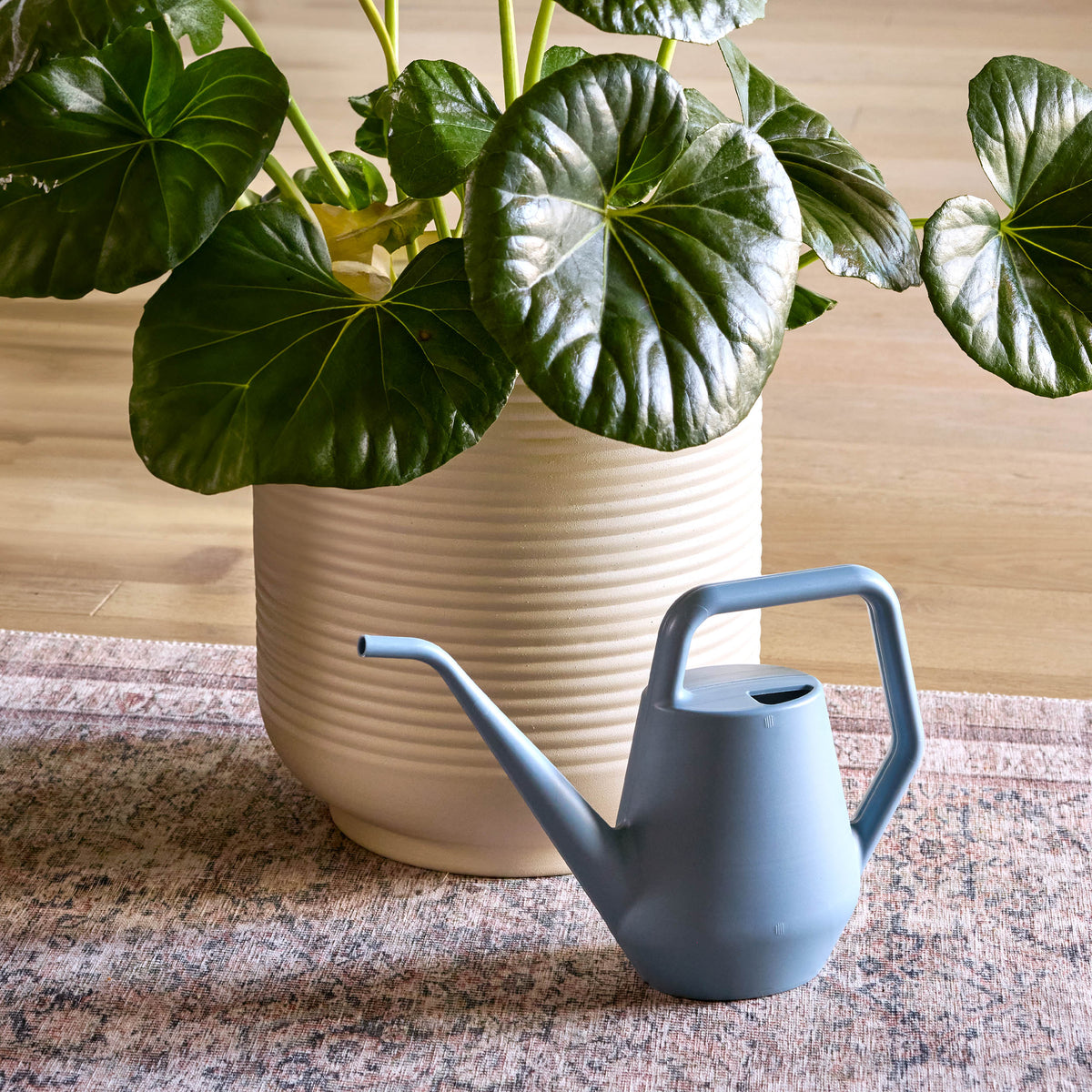 Sparrow Watering Can