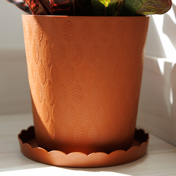 Scallop Decorative Saucer