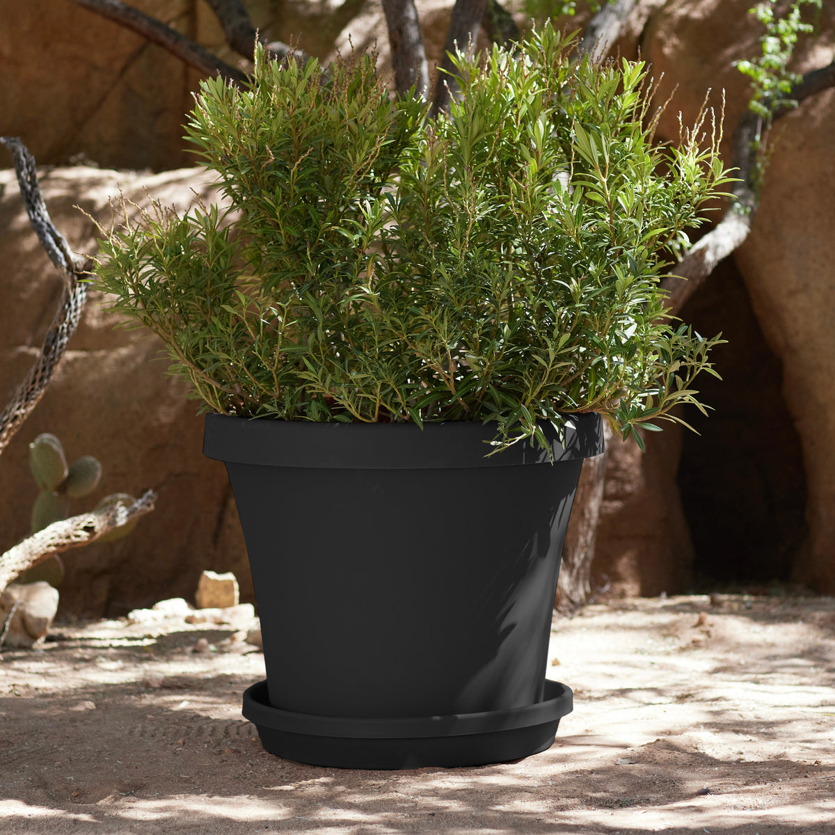 Terra Planter