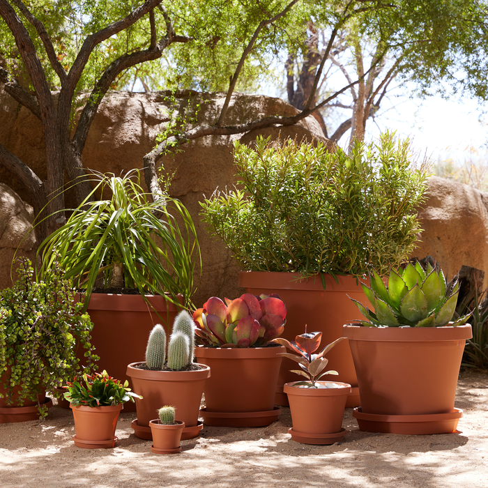 Terra Planter