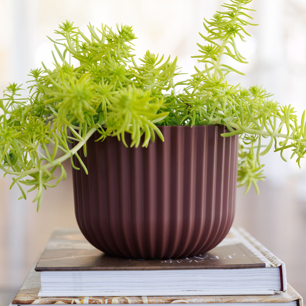 Wren Planter