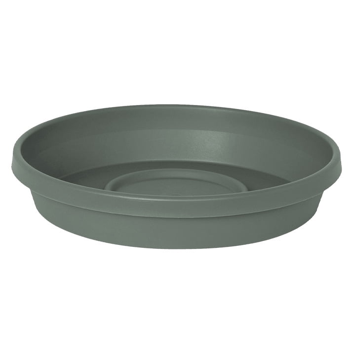 Terra Saucer
