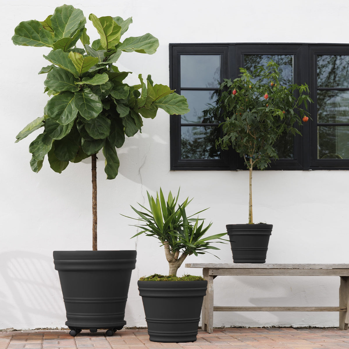 Rolled Rim Planter Pot