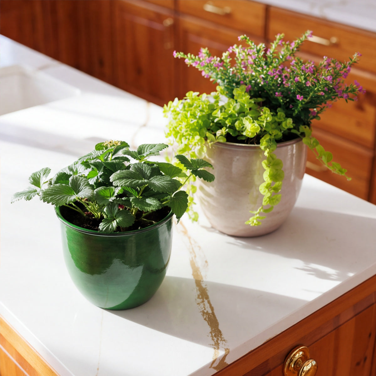 Canyon Planter
