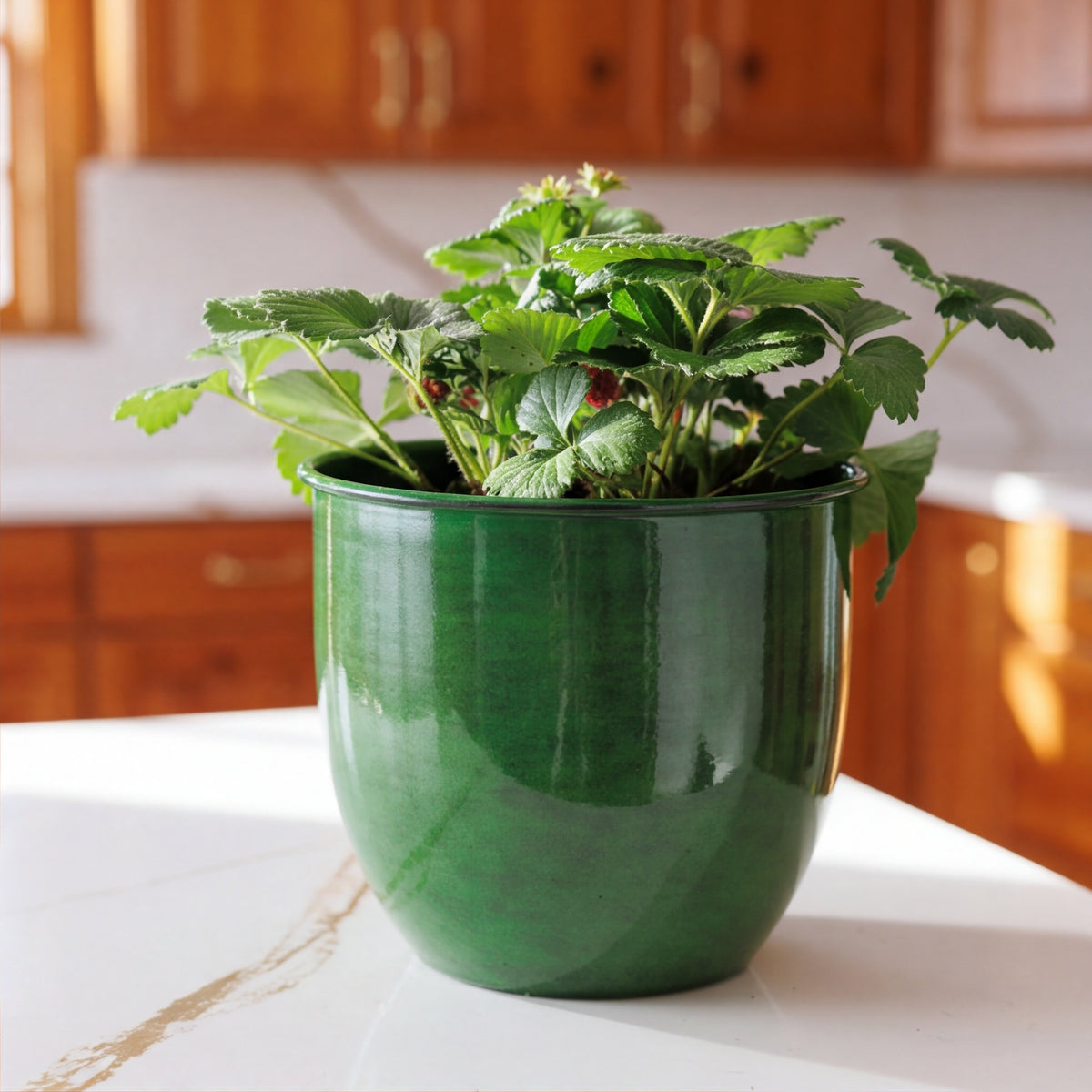 Canyon Planter
