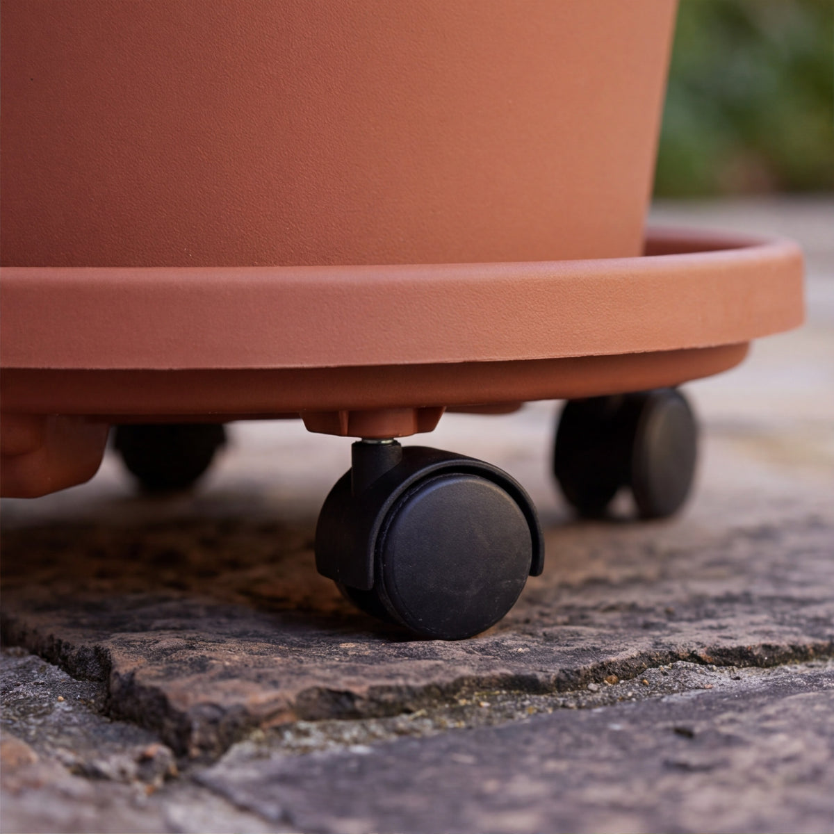Plant Caddy