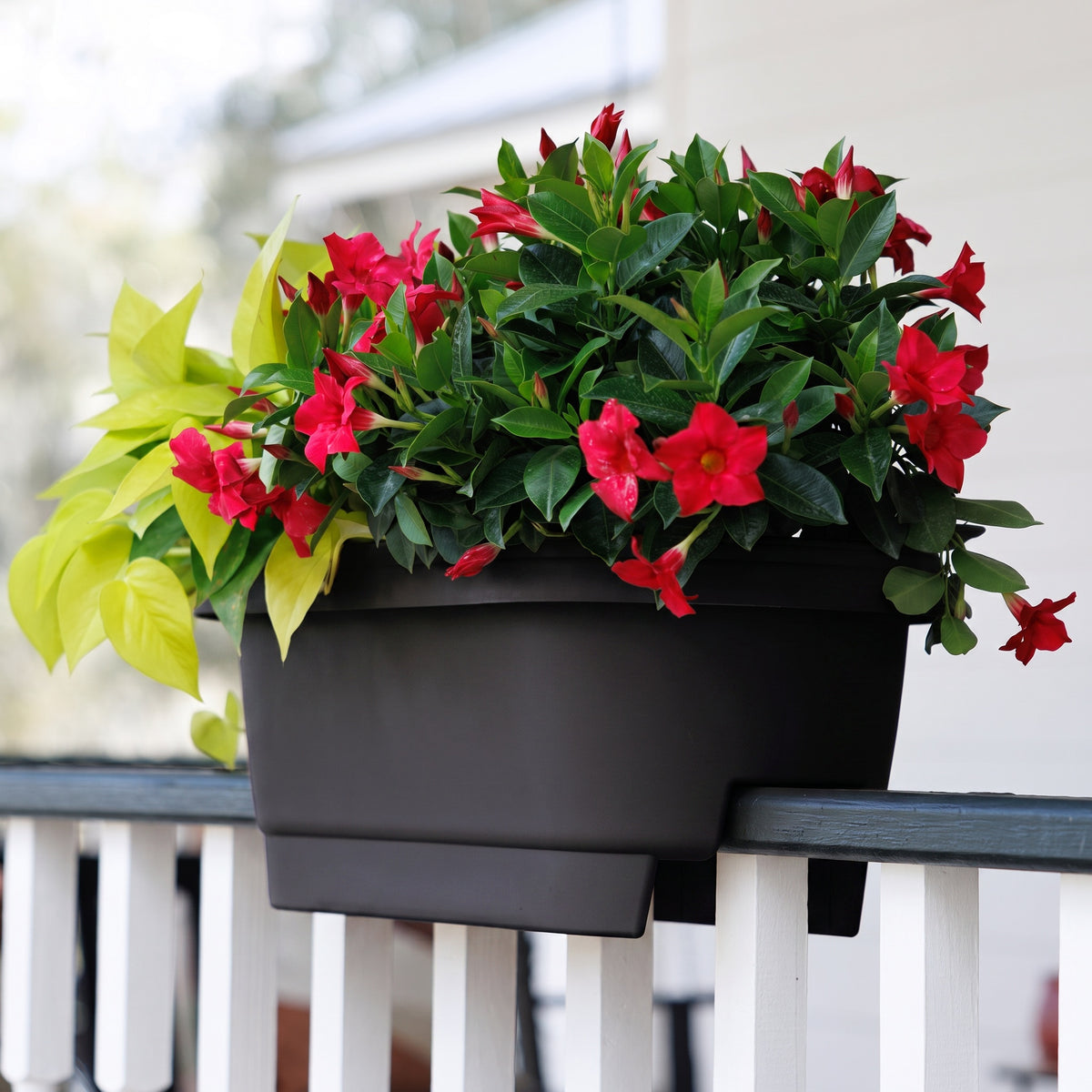 Classic Deck Rail Planter