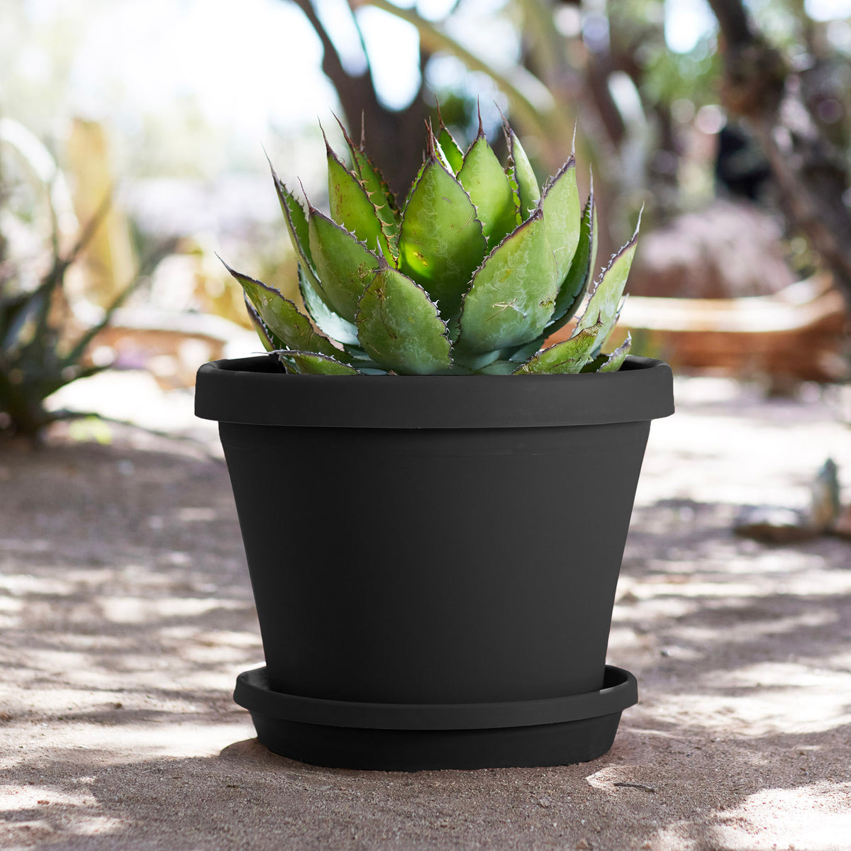 Terra Planter
