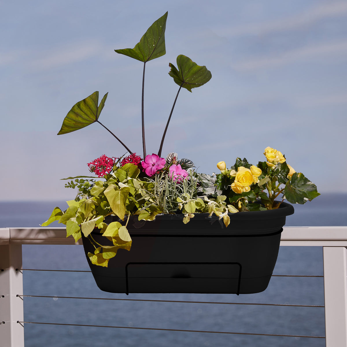 Lucca Balcony Box Planter