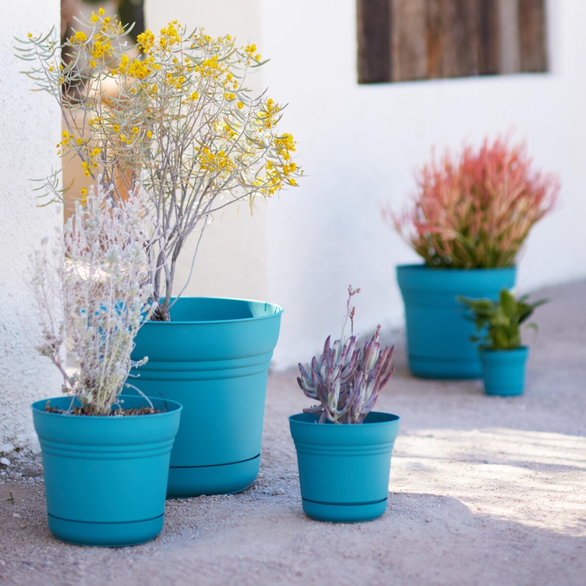 Saturn planters in several sizes