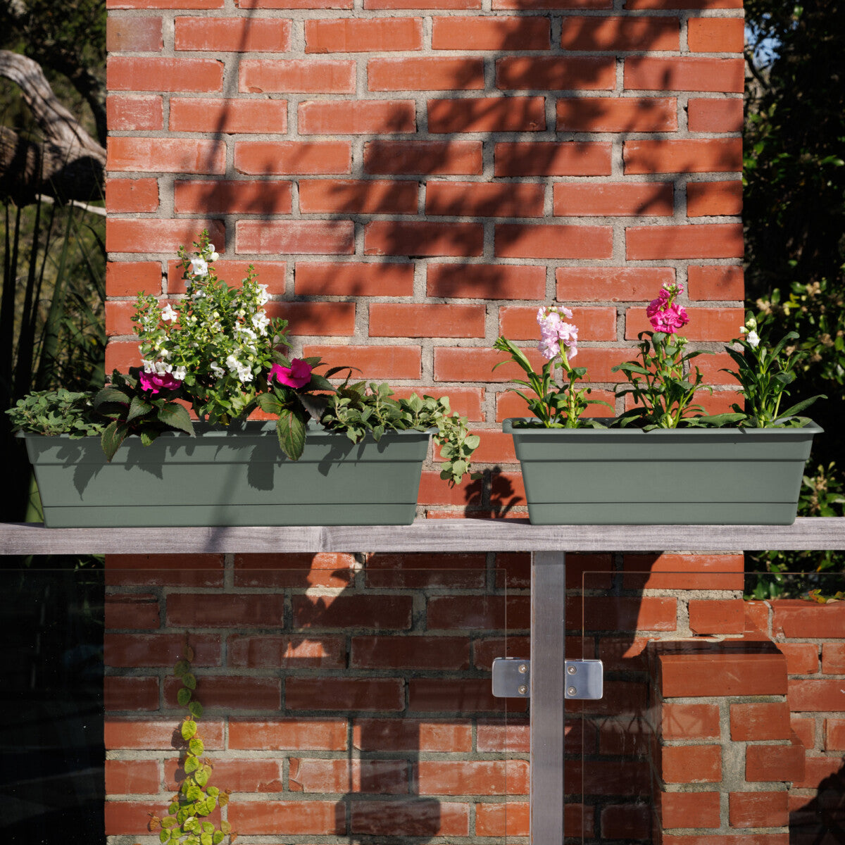 Window box with white flowers on brick