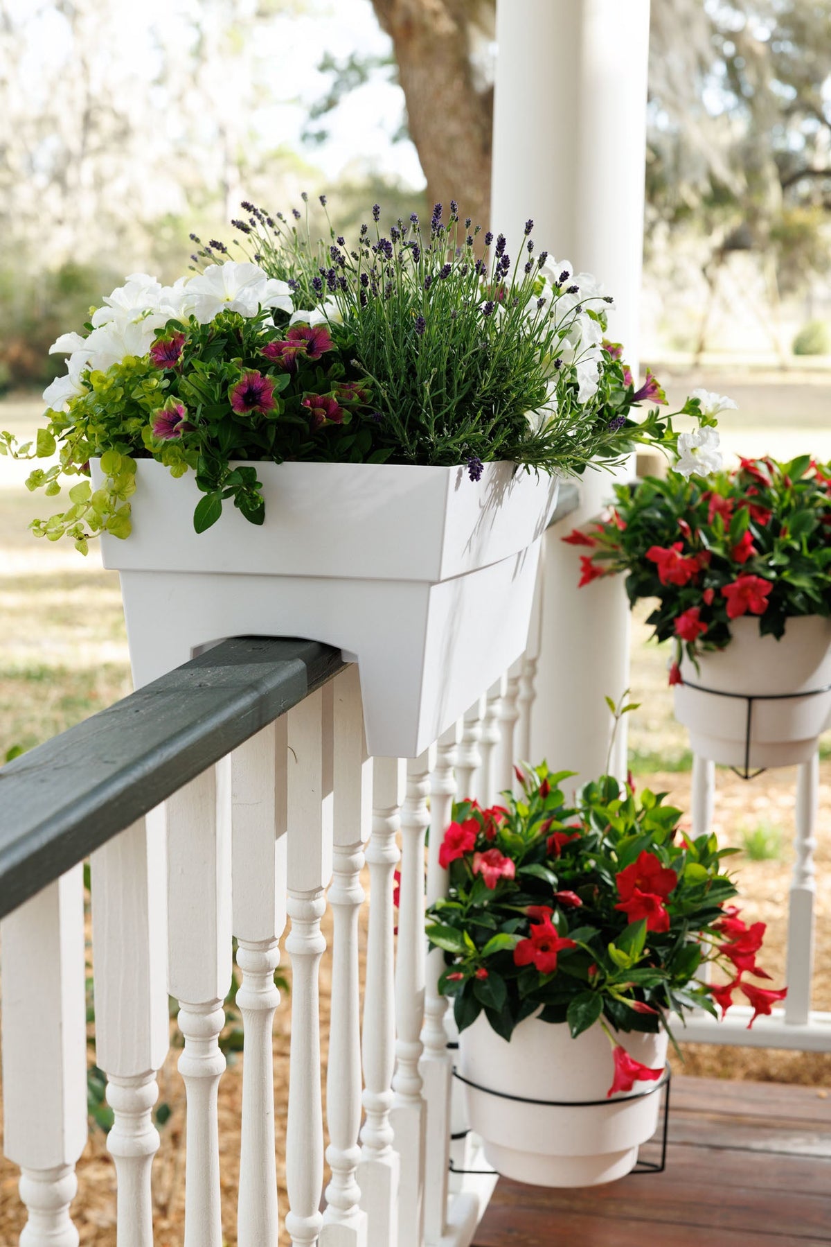 Deck, Railing & Hanging
