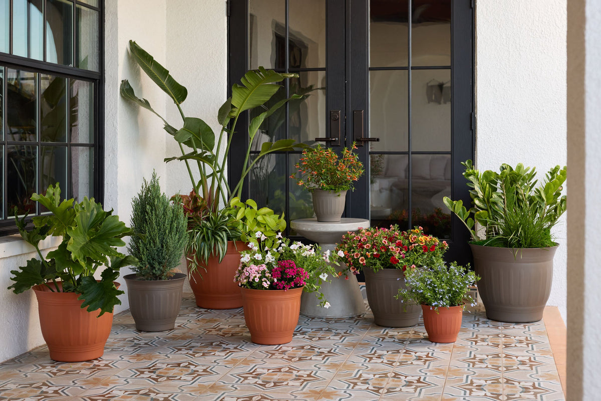 Porch & Patio