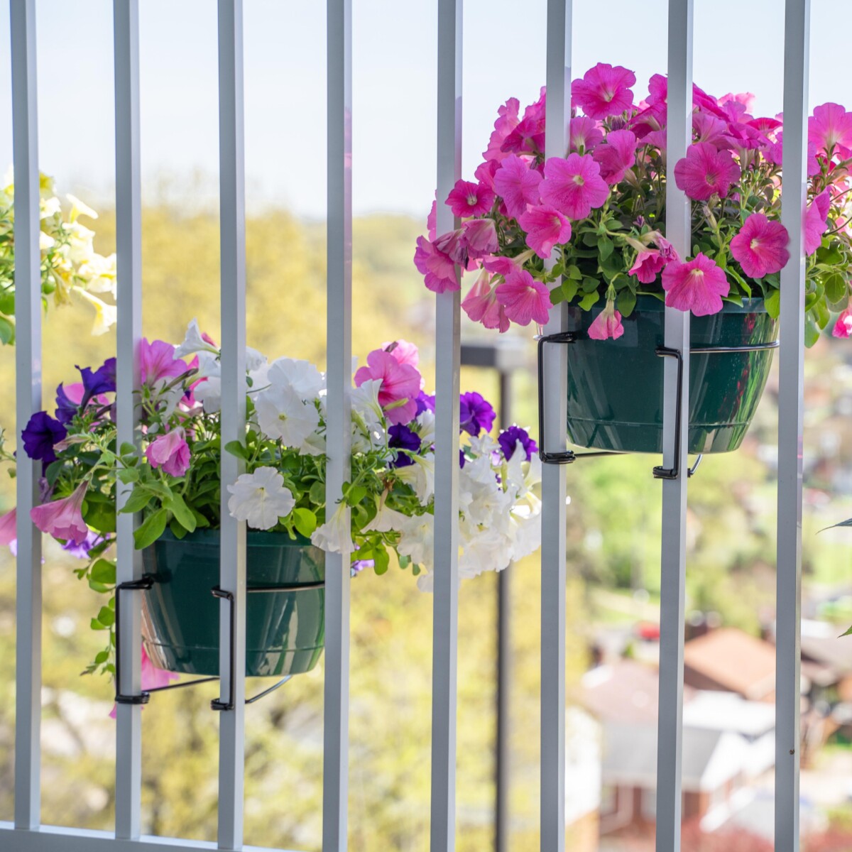 RailScapes planters in bloom on a railing