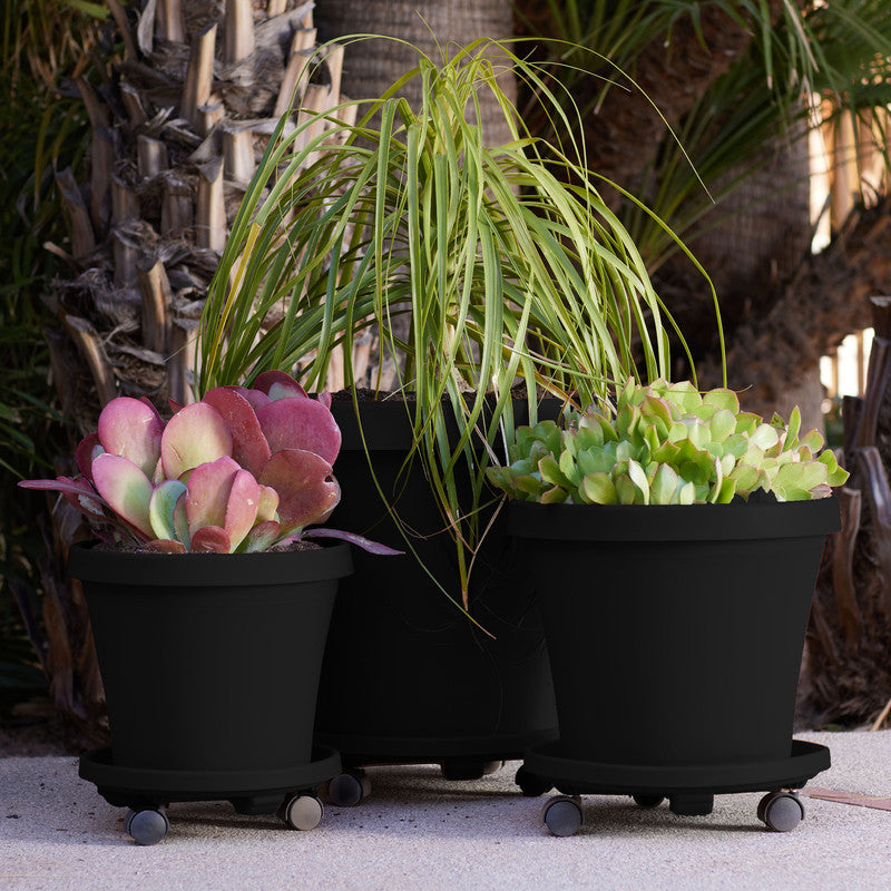 Plant Caddy