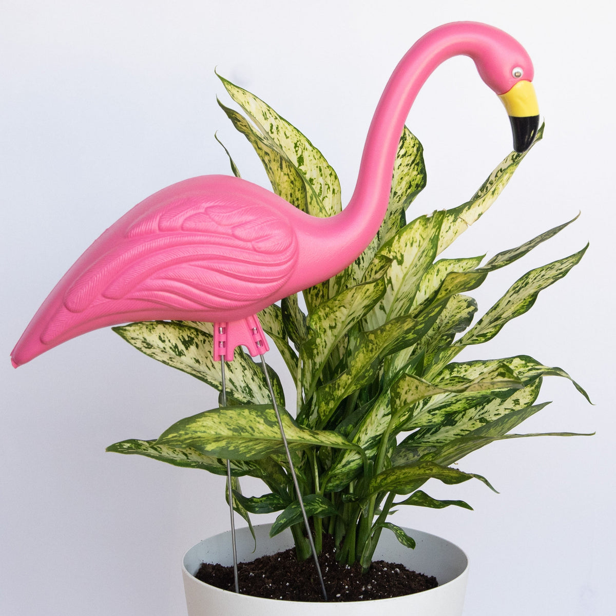 Classic Pink Flamingo Lawn Ornaments
