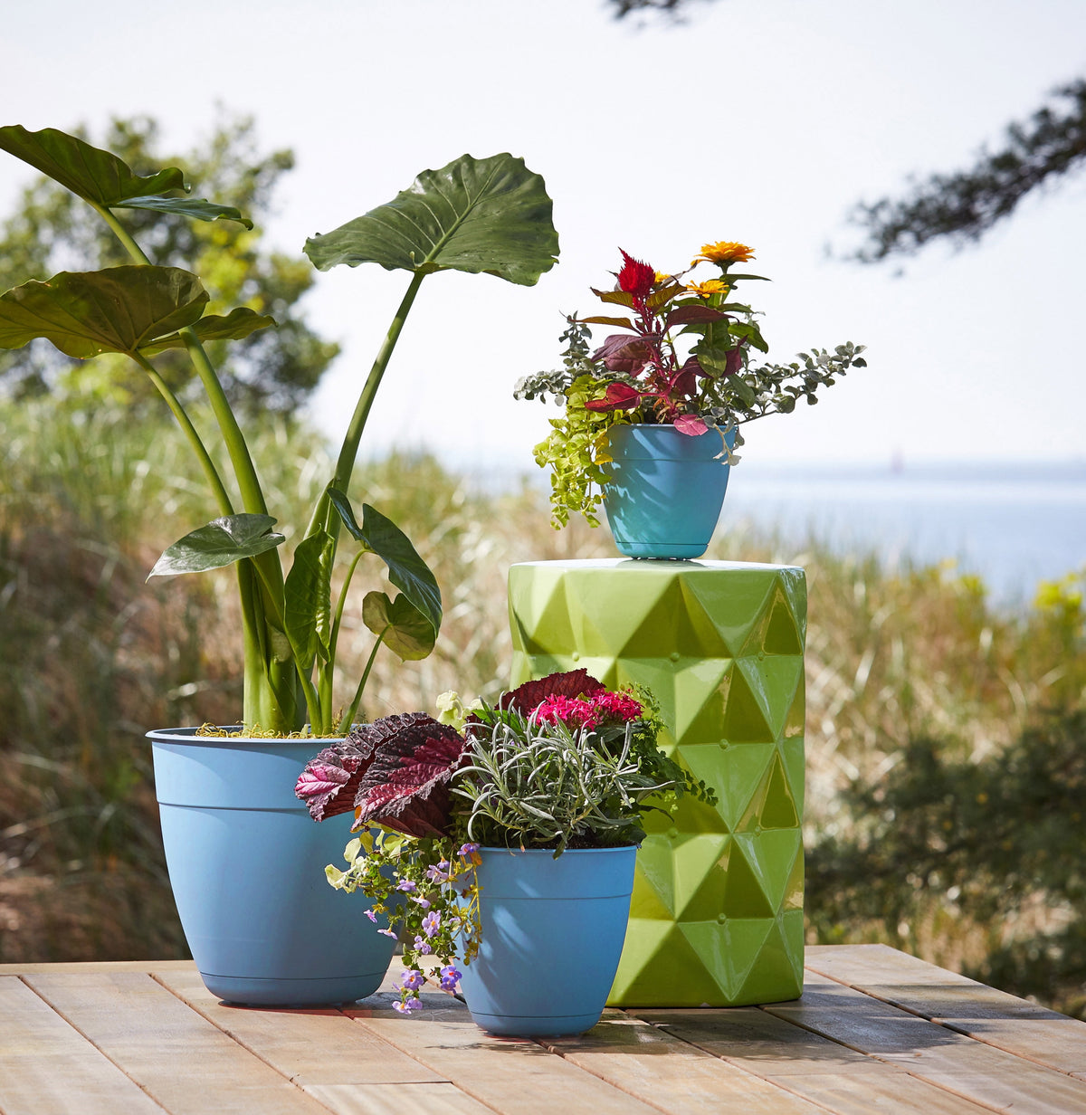 Dayton Planter