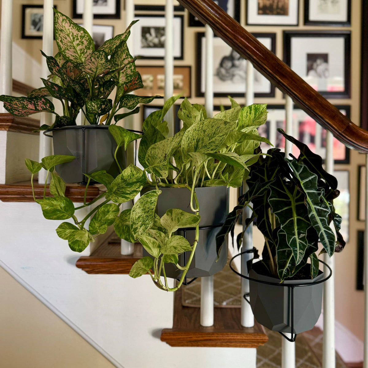 RailScapes Floating Garden Railing Planter Holder