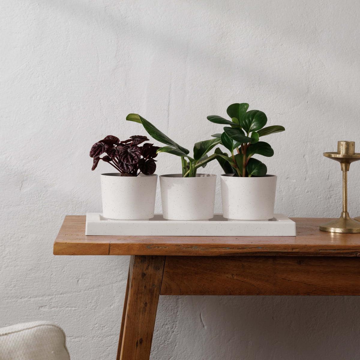 Trio-Fight Planter Set
