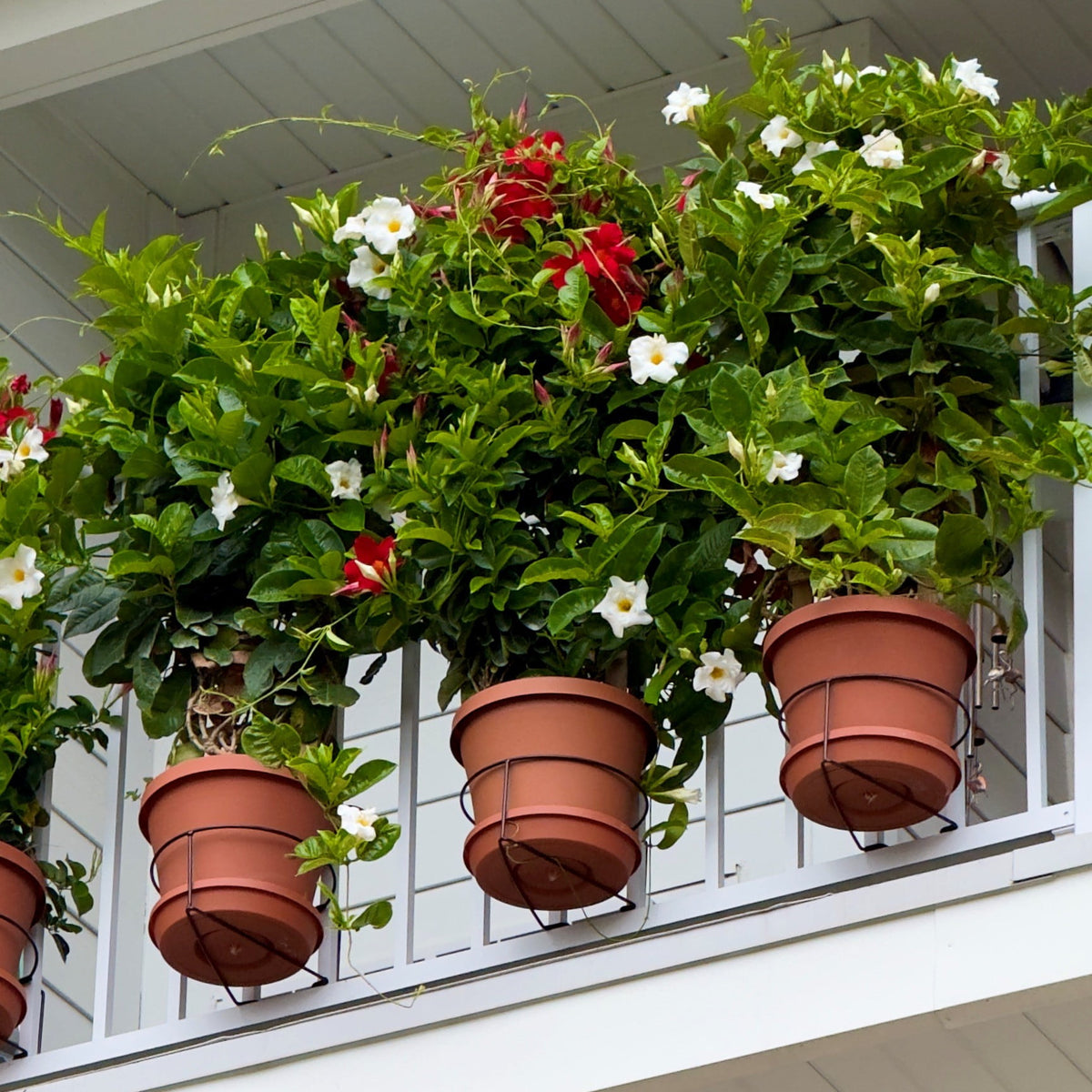 RailScapes Floating Garden Railing Planter Holder