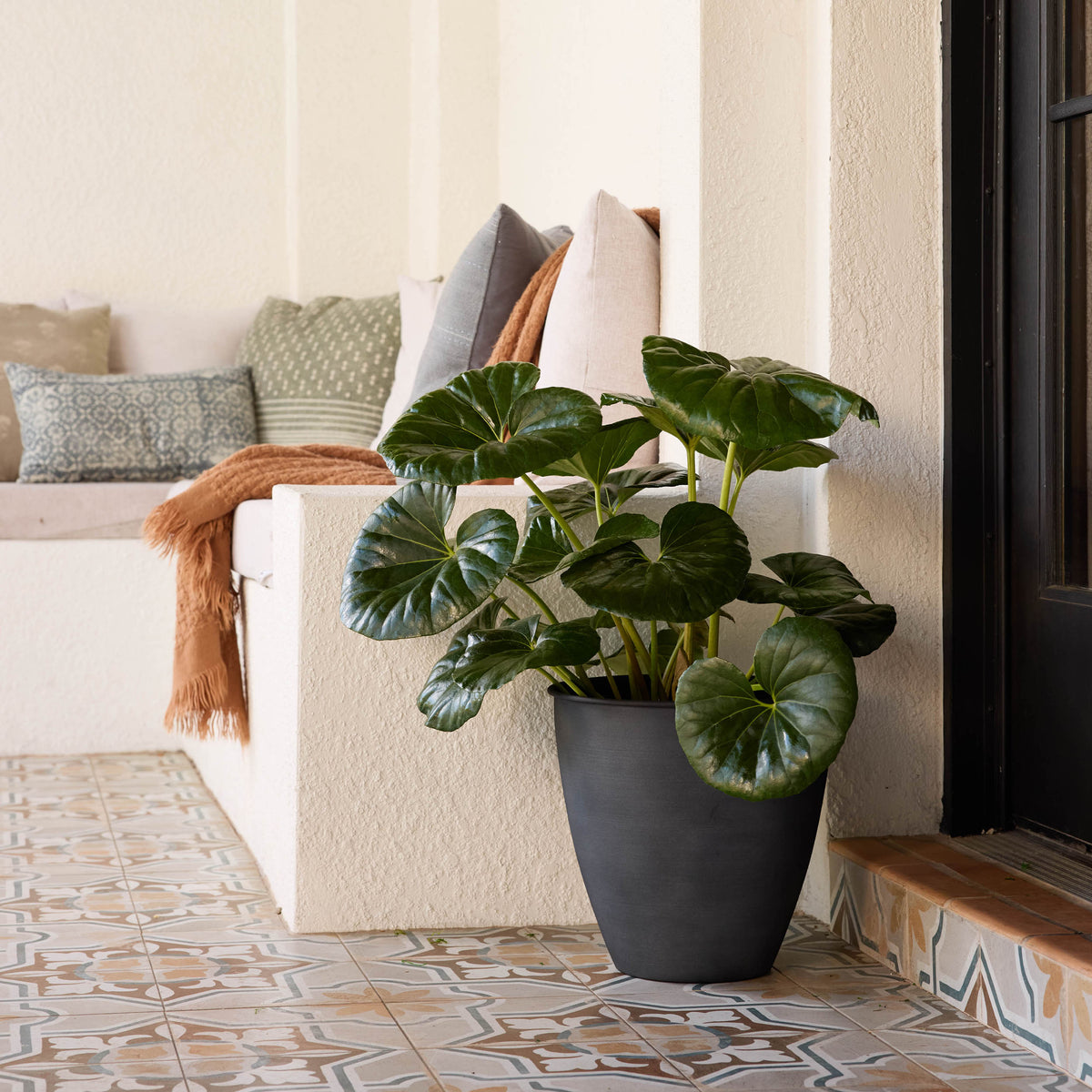 Arbor Planter