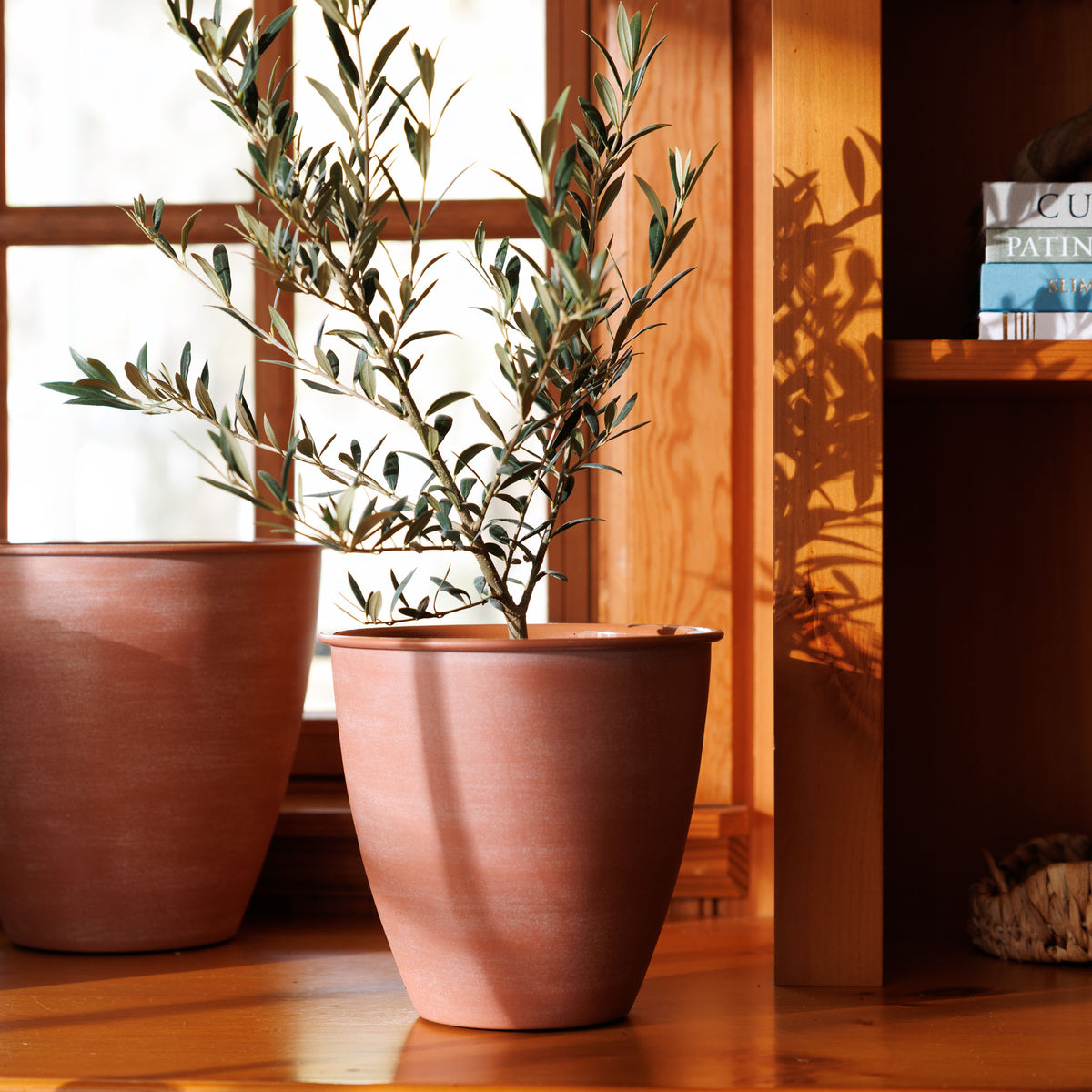 Arbor Planter