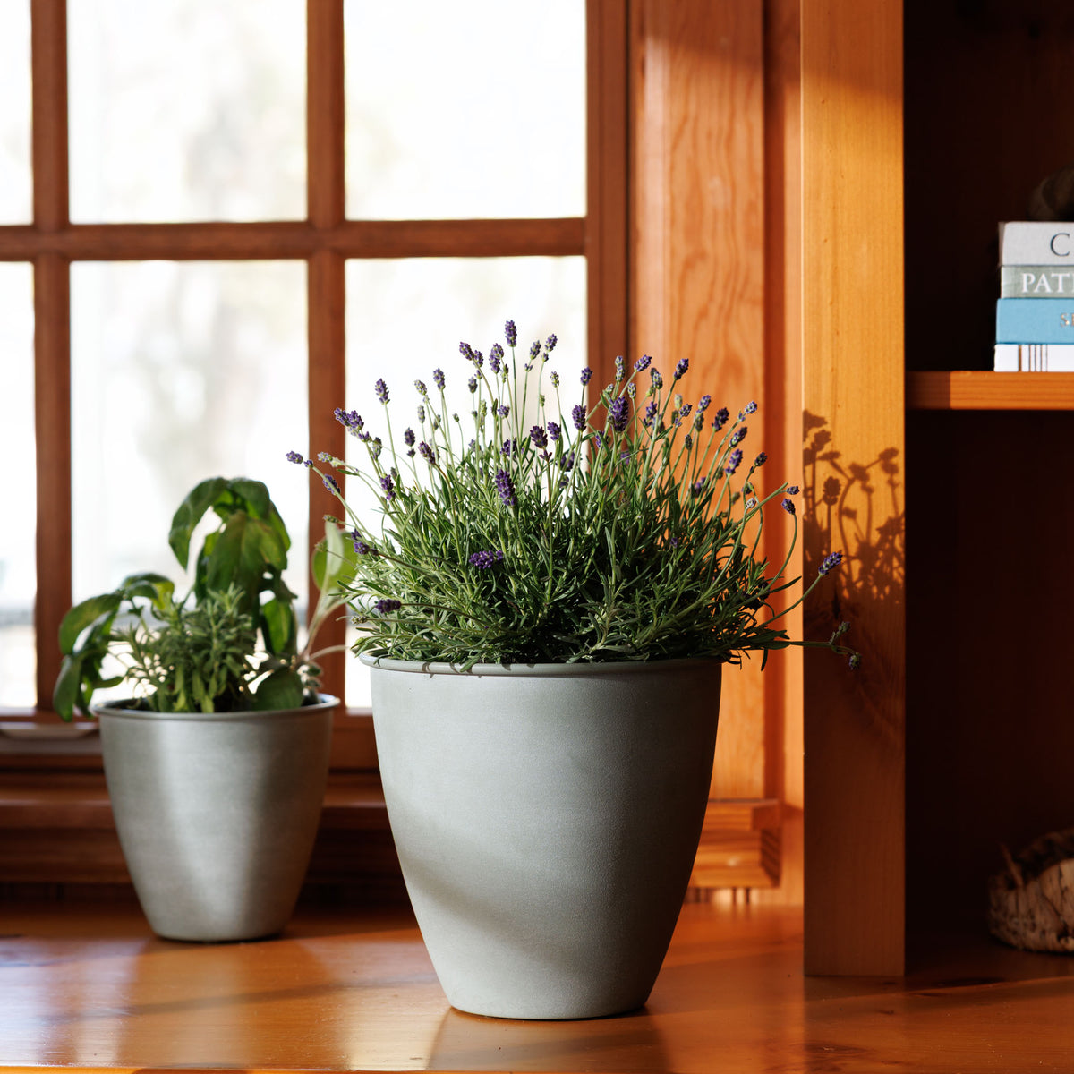 Arbor Planter