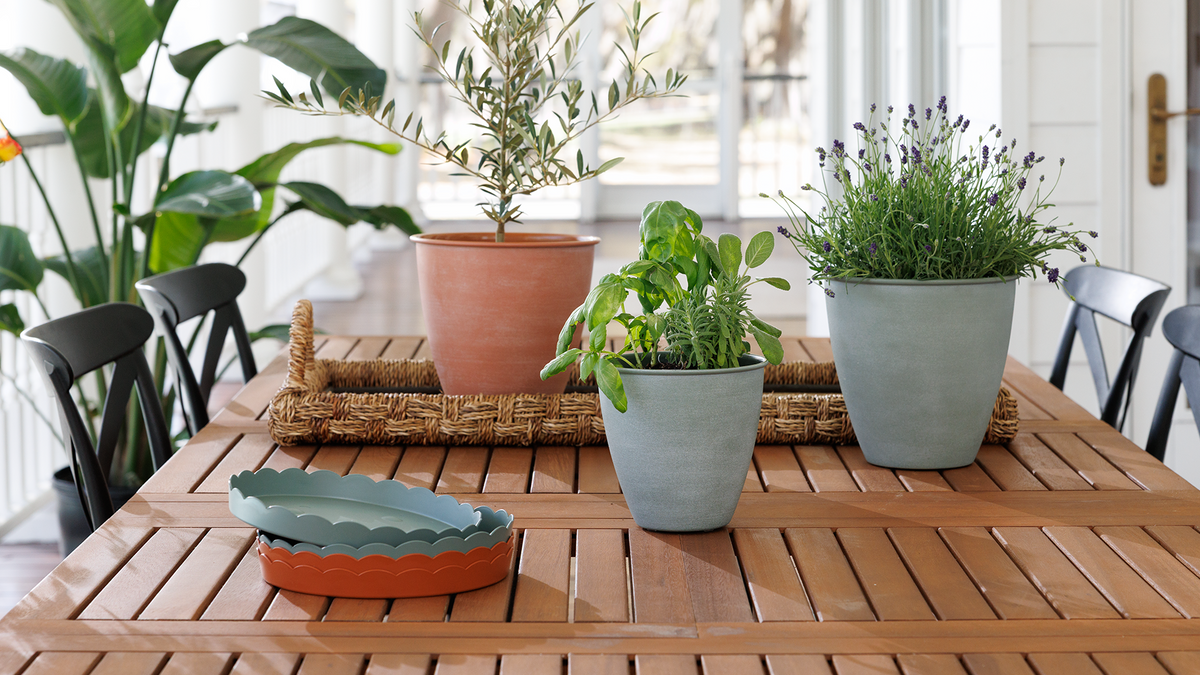 Every space deserves to bloom.